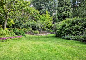 Optimiser l'expérience du jardin à Saint-Didier-de-la-Tour